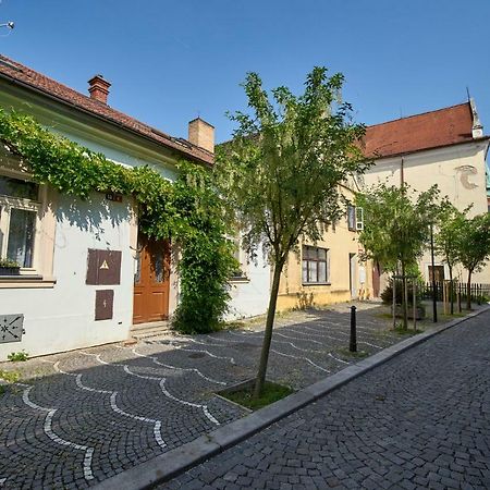 شقة Krejcovstvi Mělník المظهر الخارجي الصورة